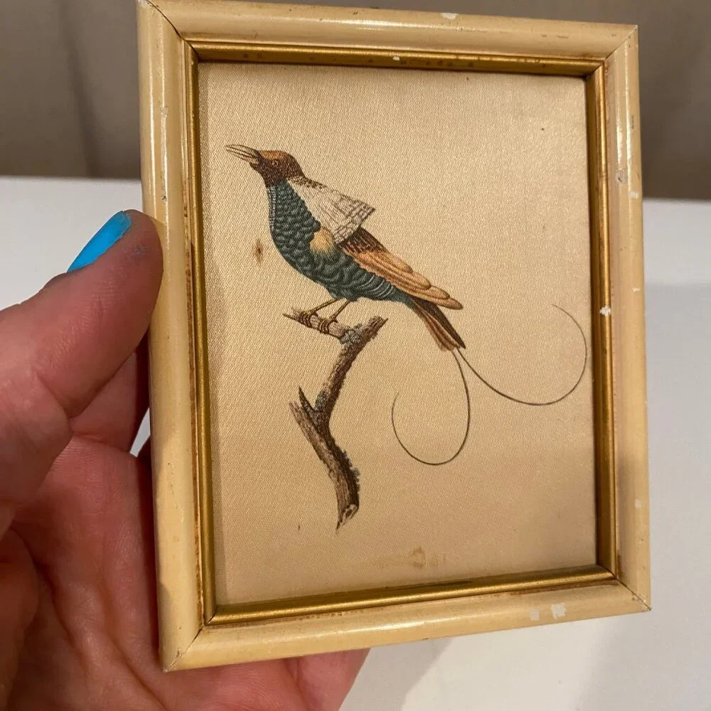 Vintage Silk Bird Print‎ 4.5x3.5” Beatrice D’Este Italy French Style - Picture 3 of 4